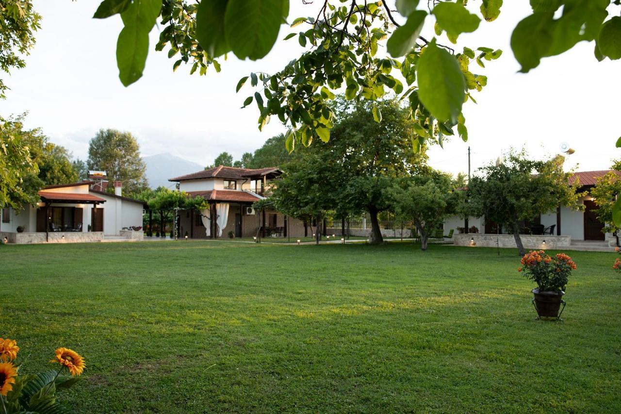 Villa La Varik 3 Litóchoron Esterno foto